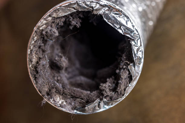 Best Residential Air Duct Cleaning  in Brices Creek, NC