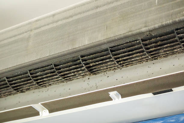 Best Commercial HVAC Duct Cleaning  in Brices Creek, NC